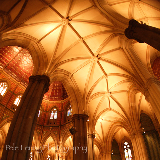 11_St_Patricks_Cathedral.jpg